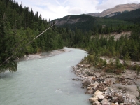 Blaeberry - a Glacial River